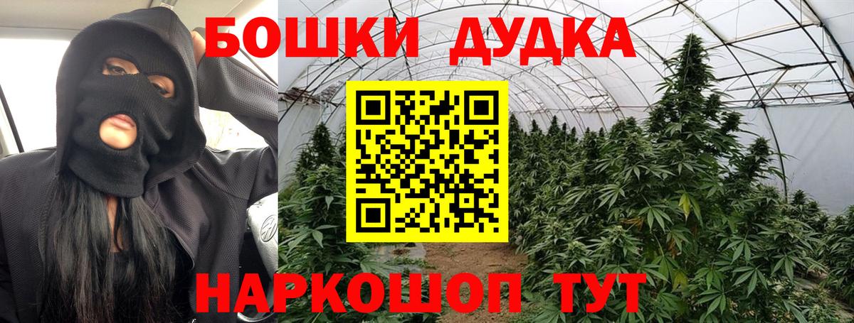 МАРИХУАНА SATIVA & INDICA  Бошки марихуана Bruce Banner  Вход с VPN  Марихуана SATIVA & INDICA  Грозный 